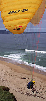 Tandem Glider