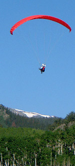 Paraglider