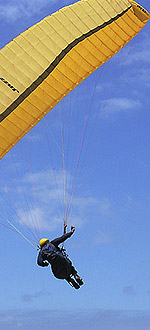 Paraglider