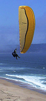Bill Laurence