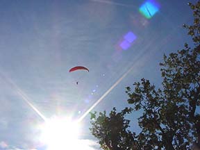 Flying